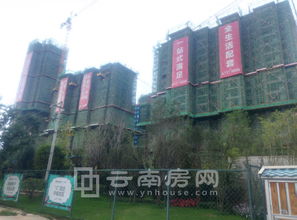 昆明联想科技城与昆明顶播科技 数字创新双引擎驱动区域发展